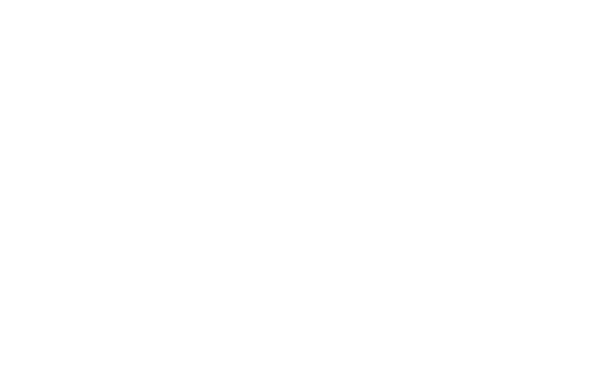 BO Visions logosu